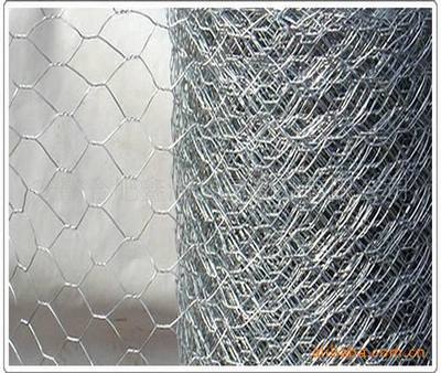 廠家直供優(yōu)質(zhì)低碳鋼鐵絲與裹塑絲六角網(wǎng) 性能、應(yīng)用與選購(gòu)指南